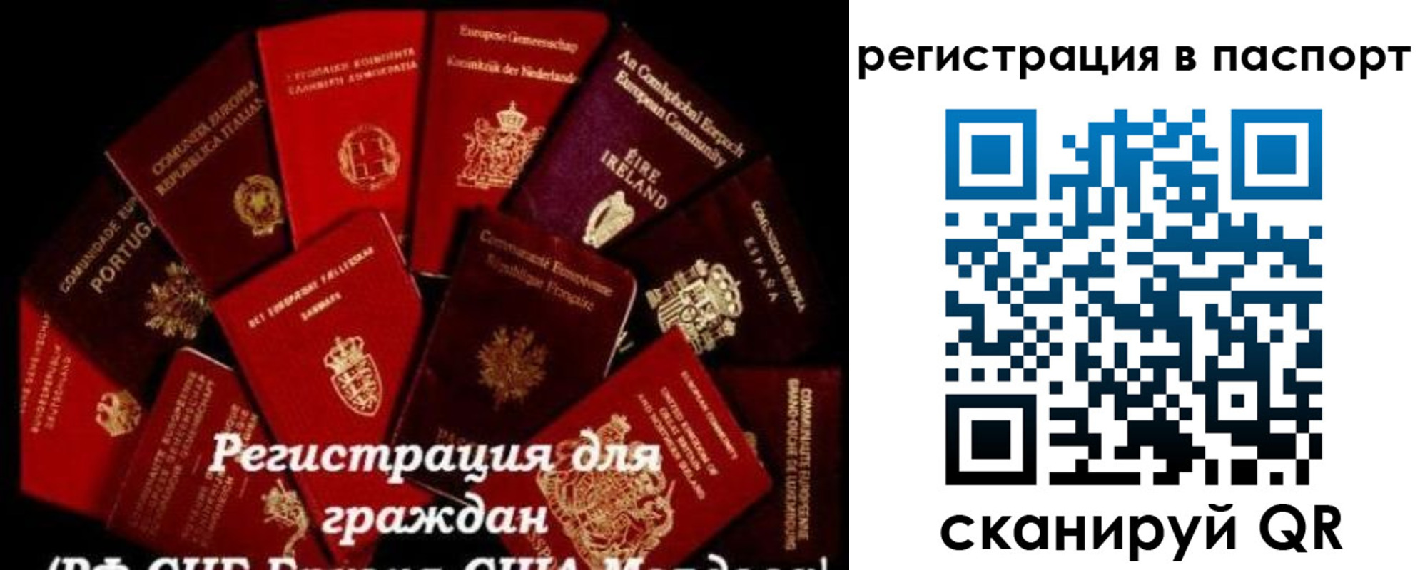 миграционный учет в Светлограде